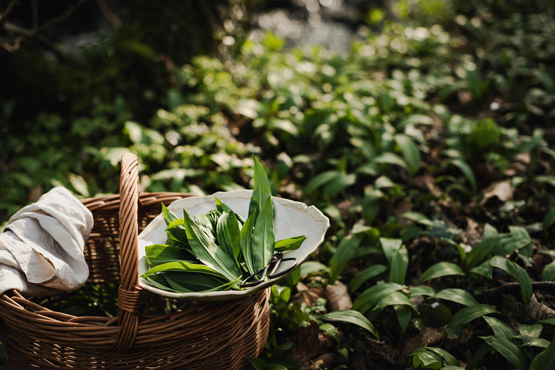 tła do fotografii produktowej i kulinarnej