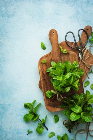 Alternative view of Tło do fotografii kulinarnej i produktowej Azzurro