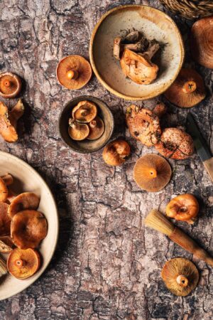 Tło do fotografii kulinarnej i produktowej. Kolory różne odcienie brązow, beży. Winylowe tło do fotografii, zwijane, trwałe, drukowane. Wzór imitujący korę drzewa.