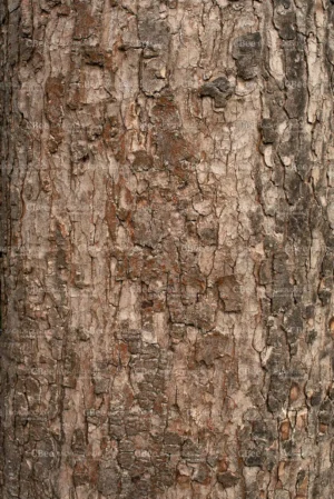 Tło do fotografii kulinarnej i produktowej. Kolory różne odcienie brązow, beży. Winylowe tło do fotografii, zwijane, trwałe, drukowane. Wzór imitujący korę drzewa.