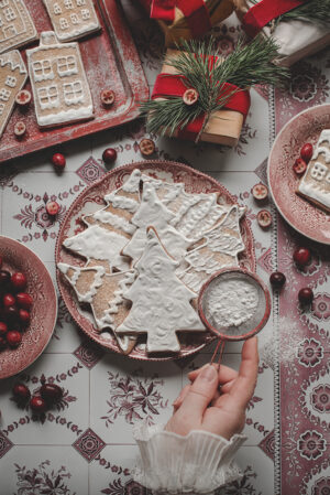 Tło do fotografii kulinarnej i produktowej. Kolory czerwony. Winylowe tło do fotografii, zwijane, trwałe, drukowane. Wzór imitujący vintage kafelki z motywem kawiatowym.